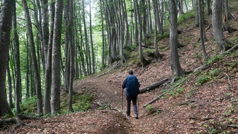 РИА Новости/Сергей Пивоваров