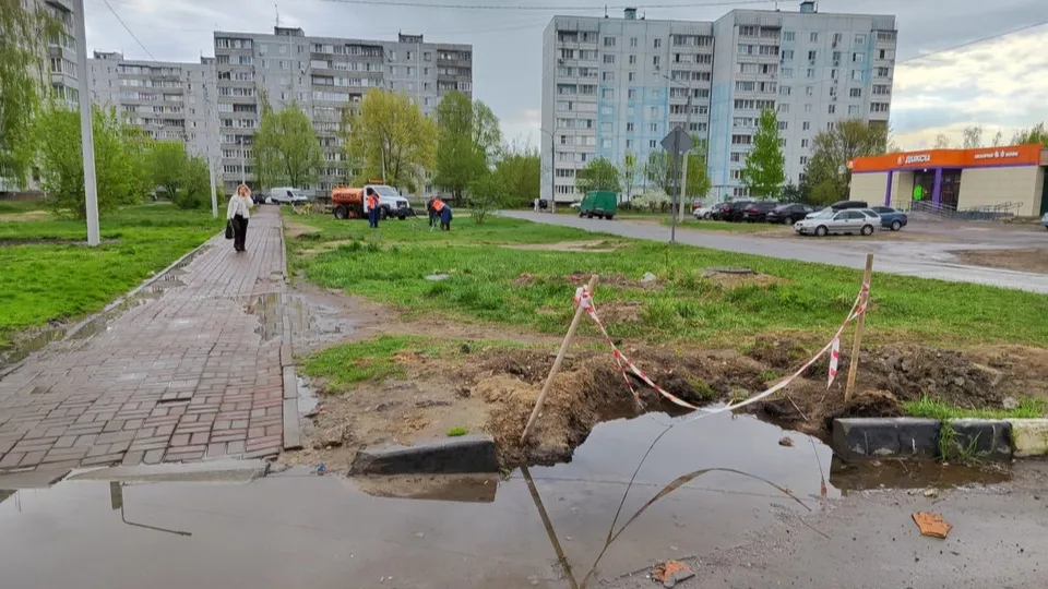 Фото: администрация Орехово-Зуевского г.о.