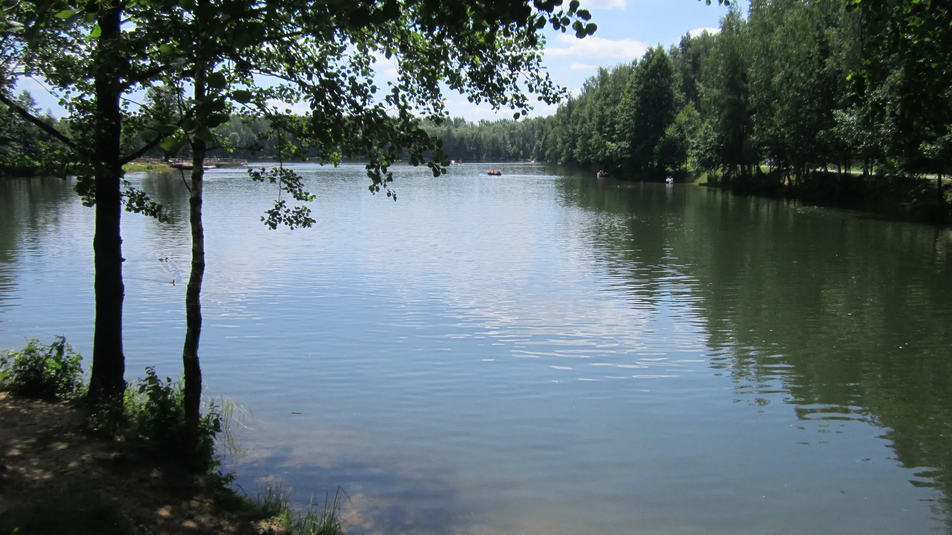 Фото: Олег Книжник