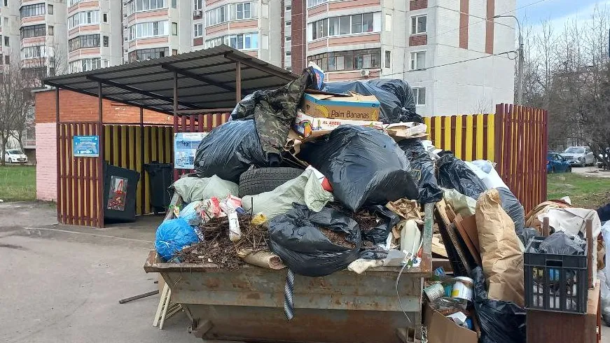 Фото: Олег Книжник