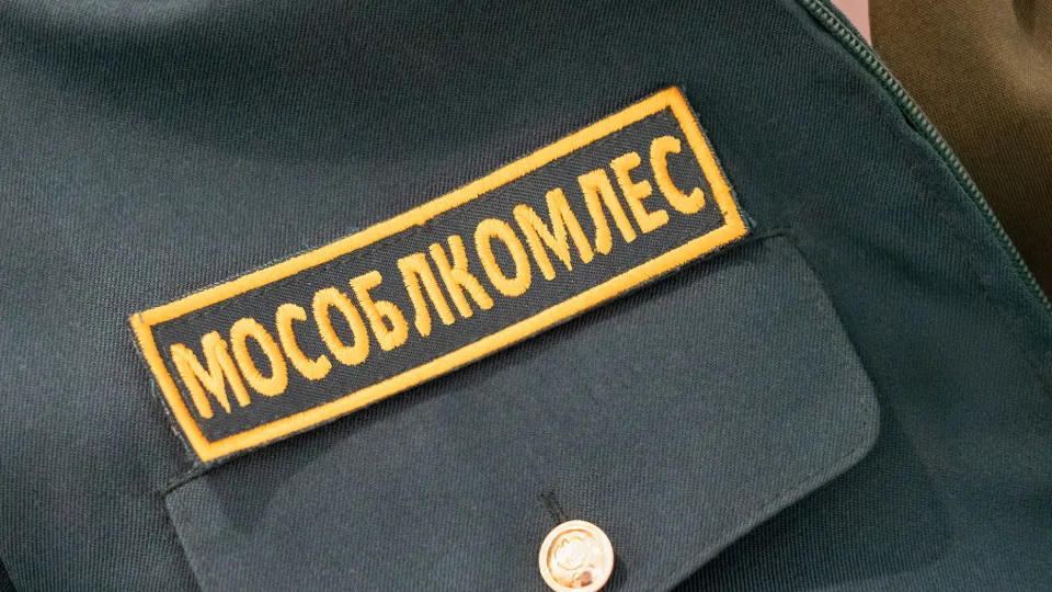 Фото: медиасток.рф