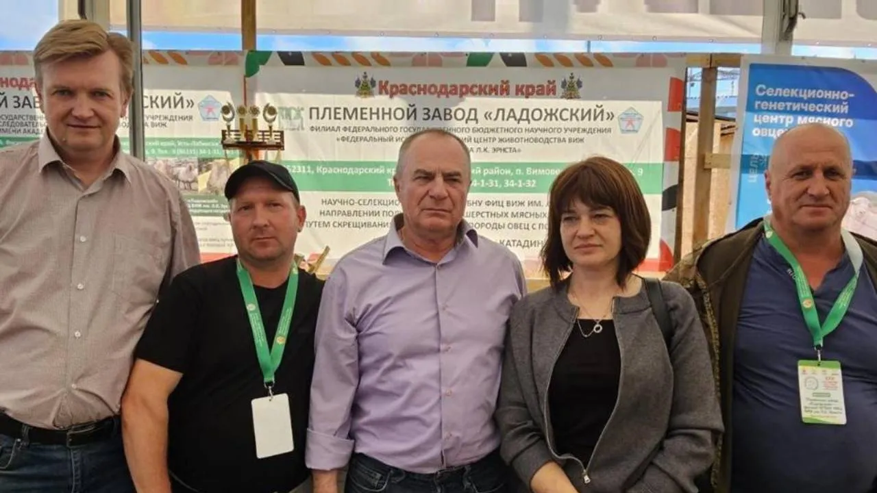 Подольские ученые завоевали пять медалей на всероссийской выставке племенных овец и коз