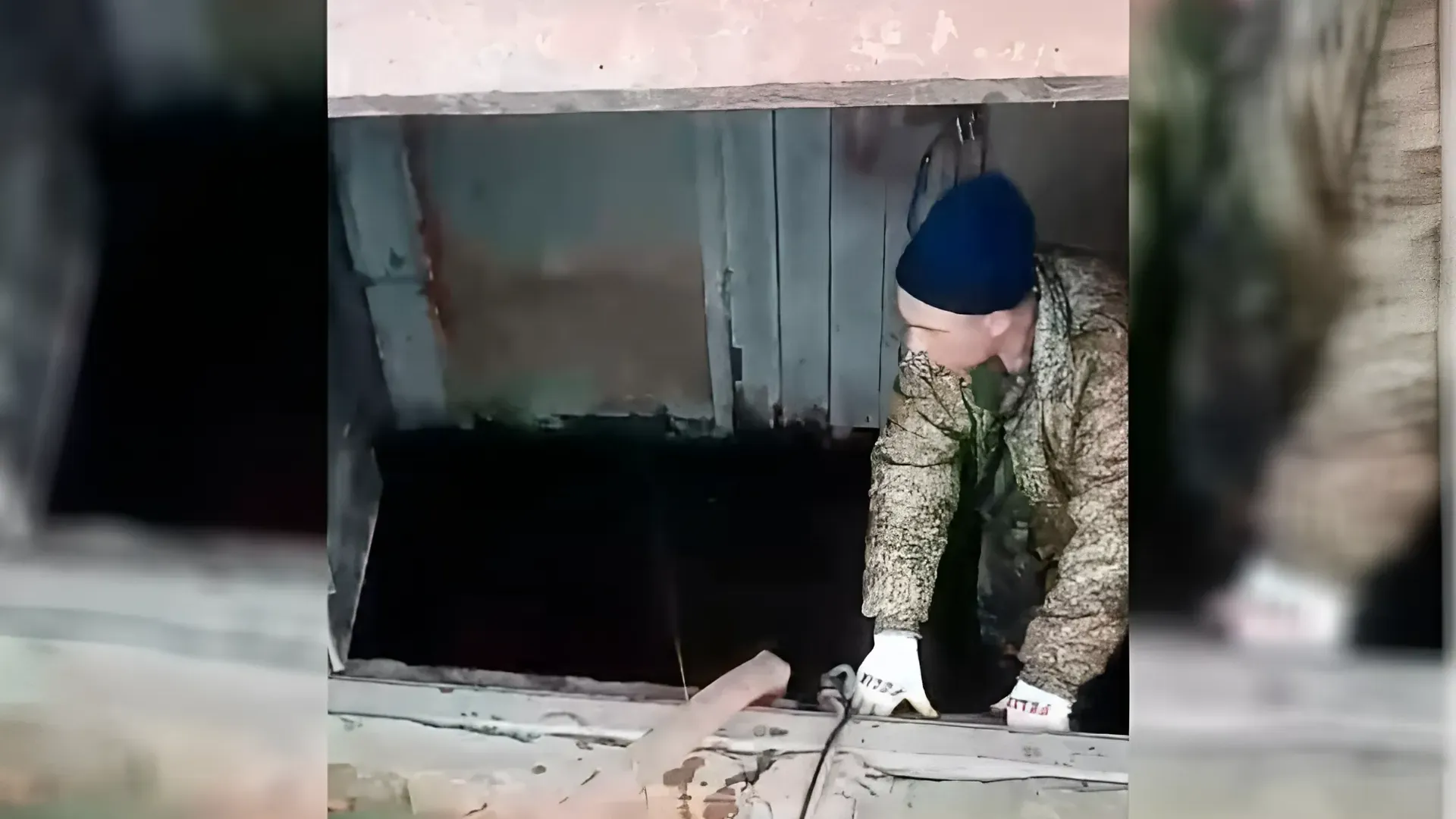 Фото: администрация г.о. Лотошино