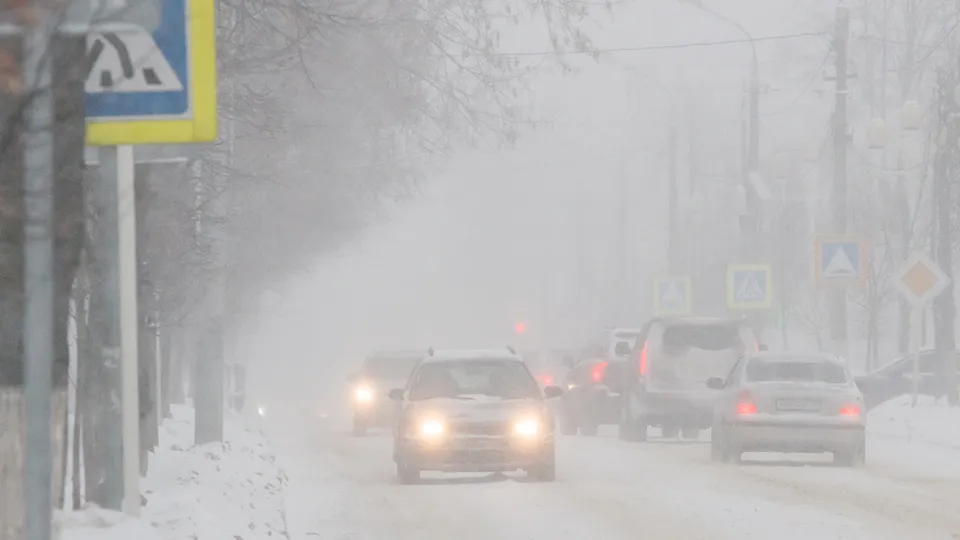 Фото: Юрий Котов
