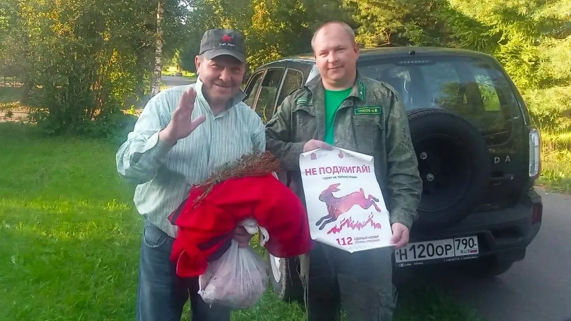 Фото: Комитет лесного хозяйства МО