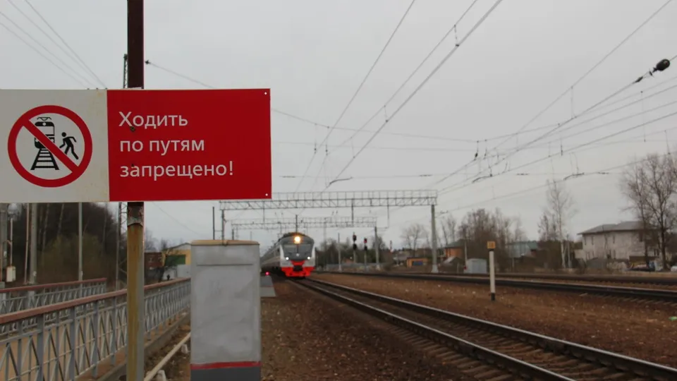 Фото: Министерство транспорта и дорожной инфраструктуры Московской области