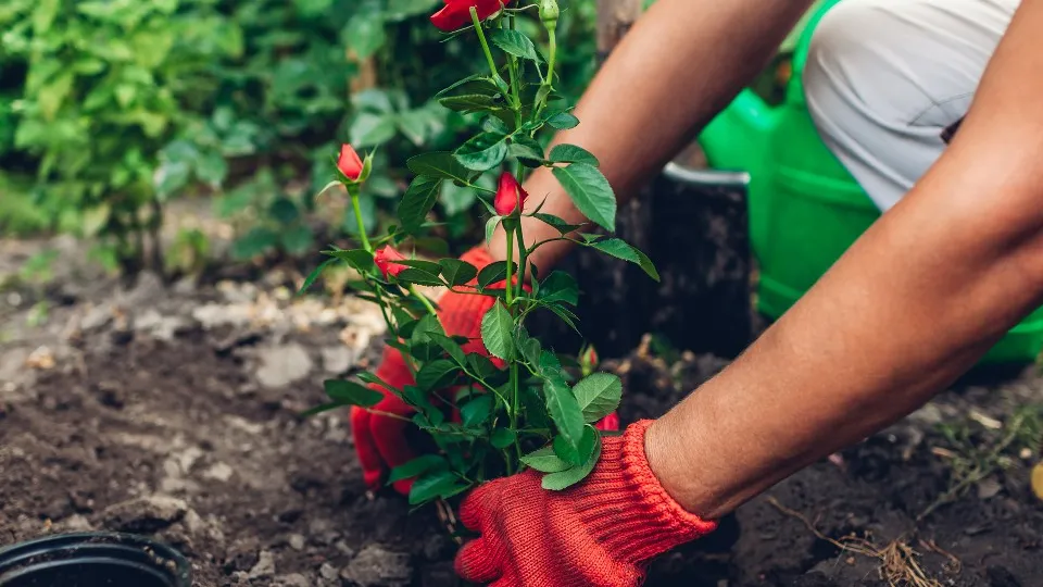 Фото: istockphoto.com