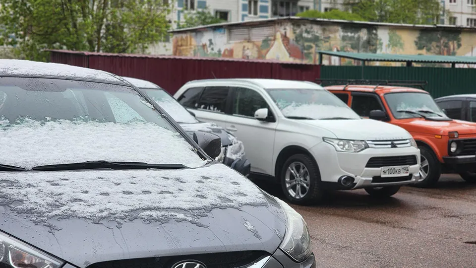 Фото: МедиаБанк Подмосковья/Полина Пахомова