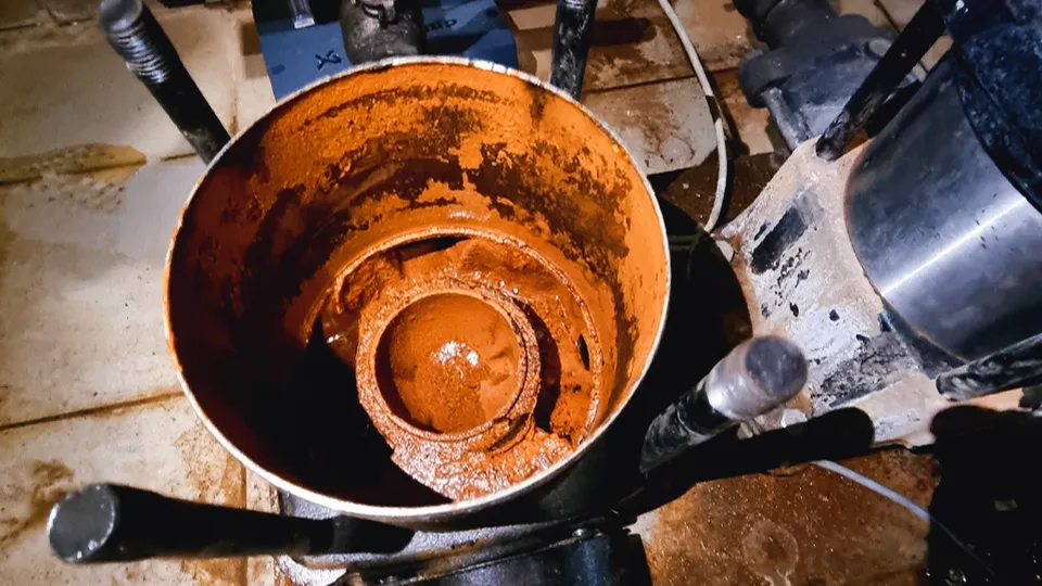 Фото: МедиаБанк Подмосковья/Ольга Егиян