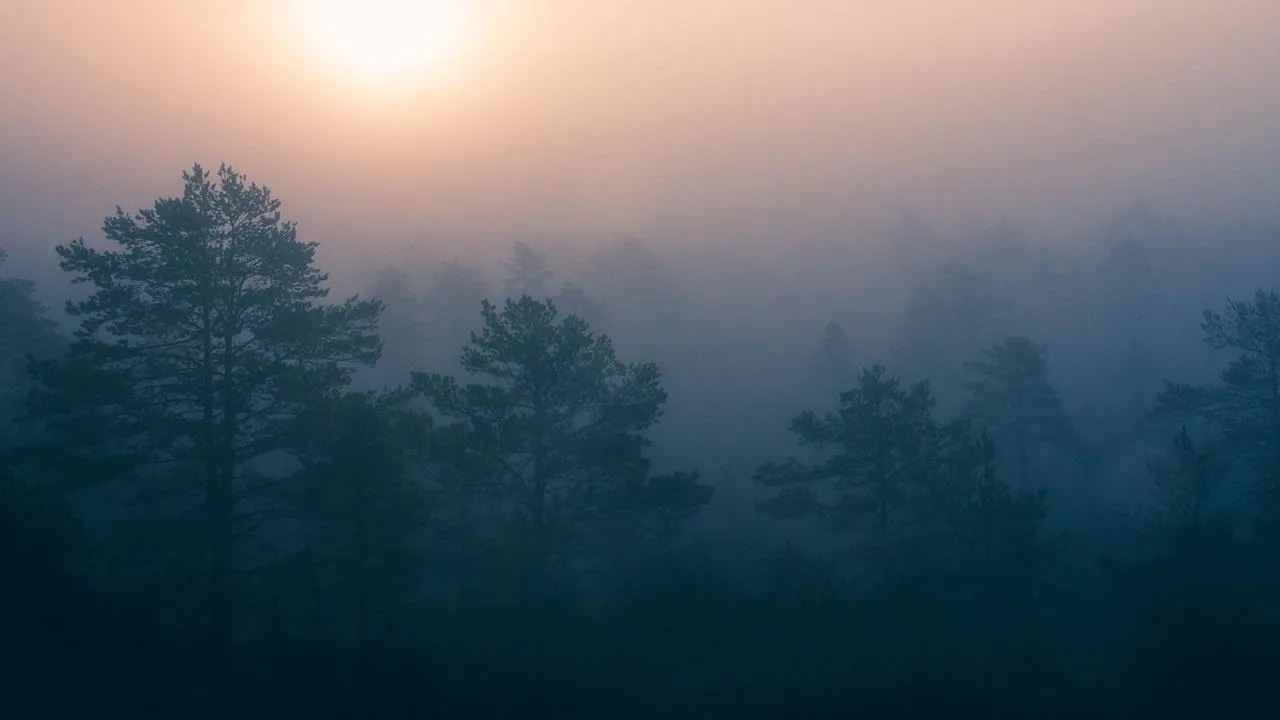Unsplash