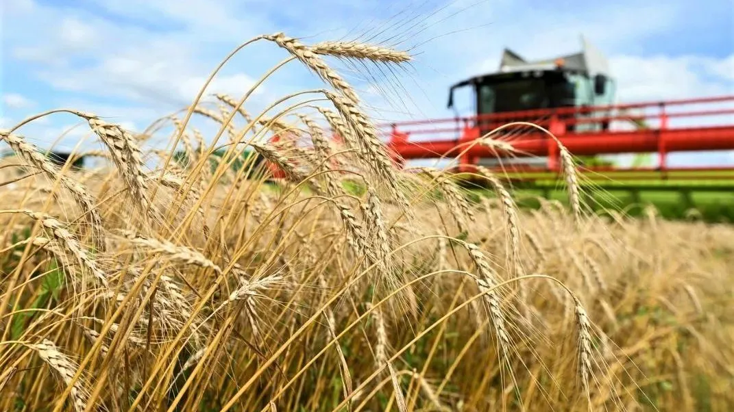 Фото: пресс-служба губернатора и правительства Московской области