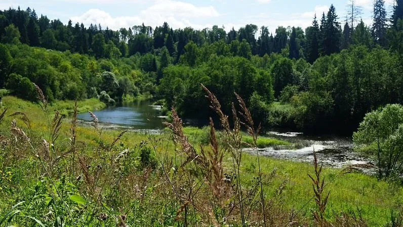 Фото Минэкологии МО.