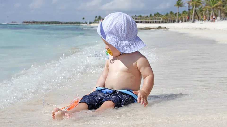 Фото: istockphoto.com/PhotoNotebook