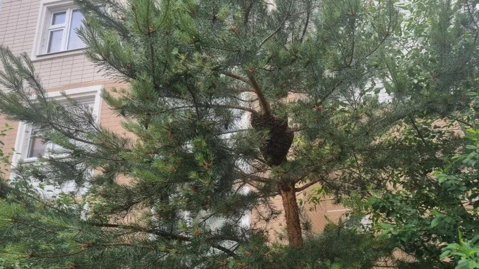 Фото: Ольга Ковалева