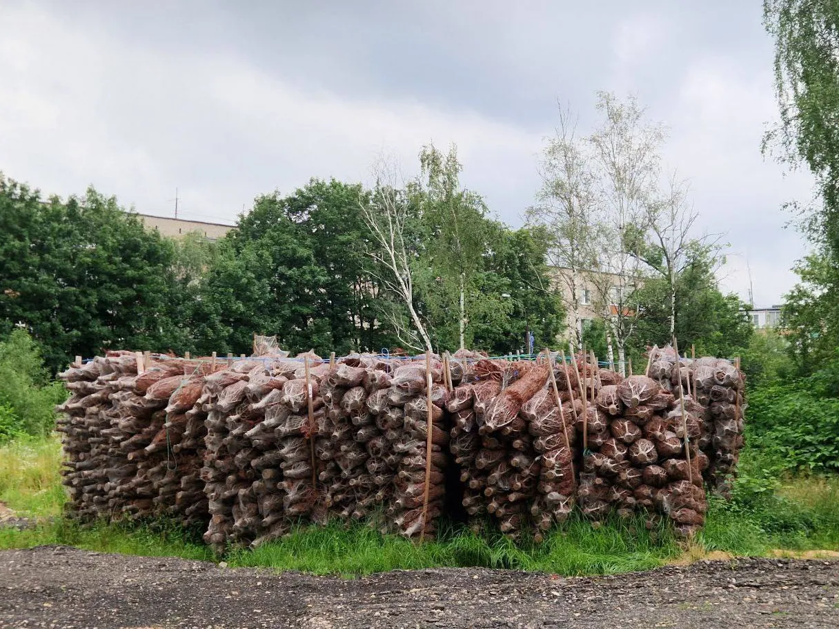 Фото: пресс-служба Олега Рожнова&nbsp;&nbsp;