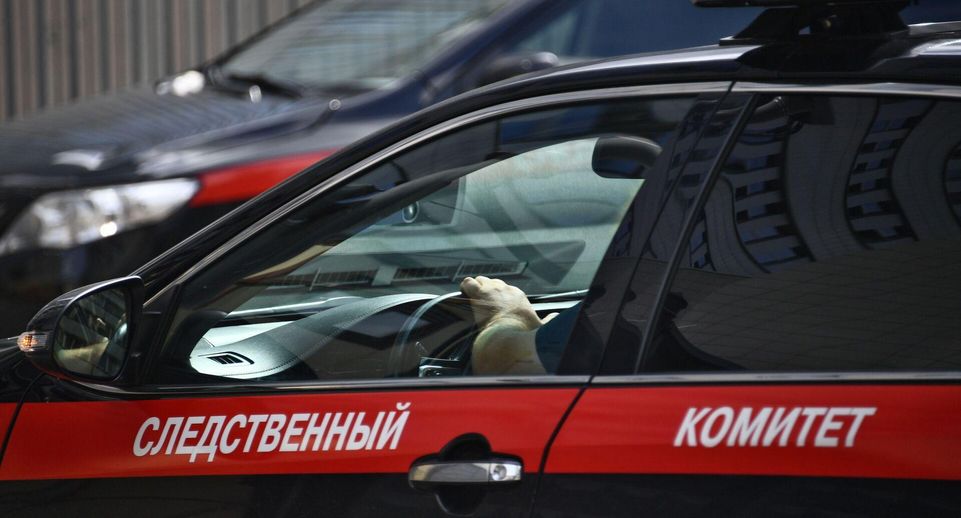 Женщина плюнула в незнакомого ребенка и ударила его ногой в спину в Подмосковье