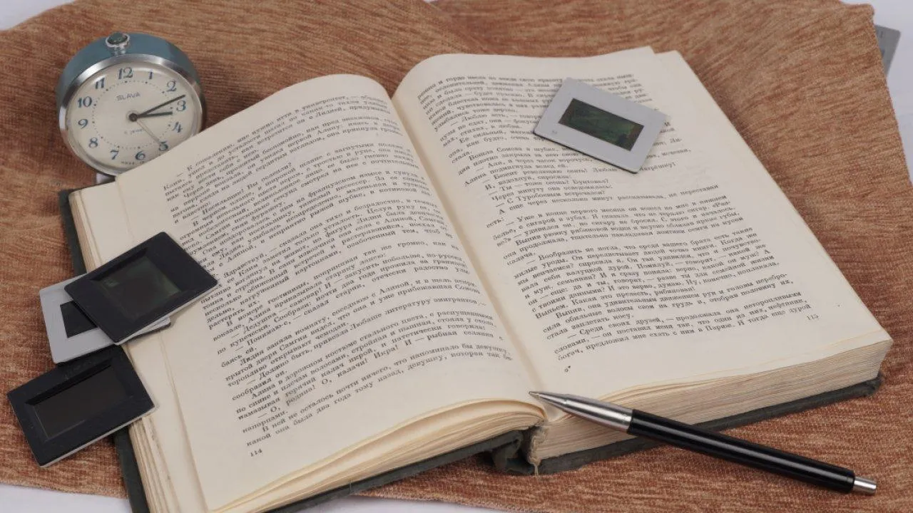 REGIONS/Дарина Левкина