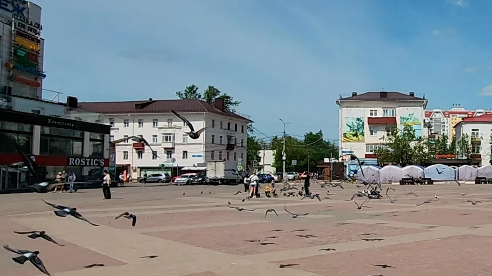 Фото: МедиаБанк Подмосковья/Валентина Максимова