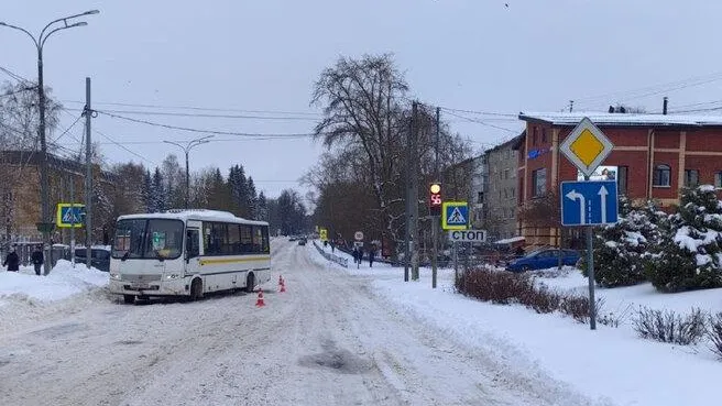 Фото: прокуратура МО