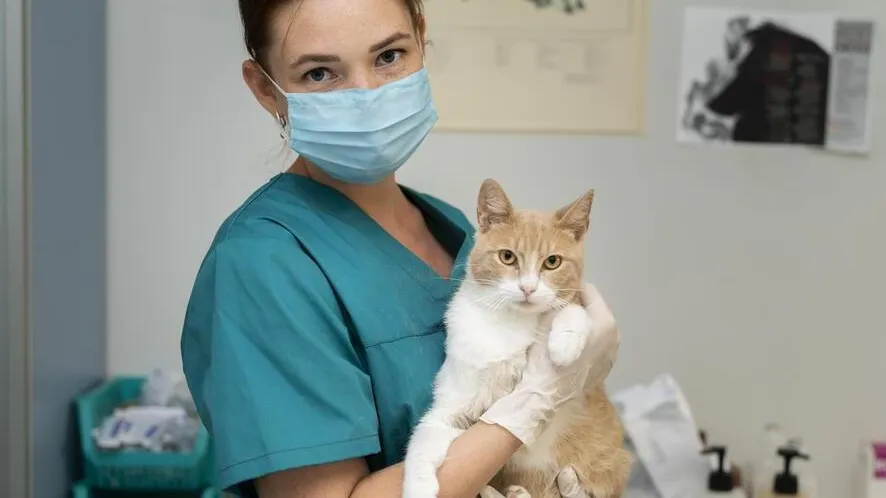 Фото: freepik.com