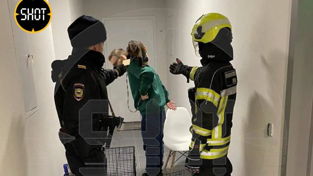 Фото: социальные сети