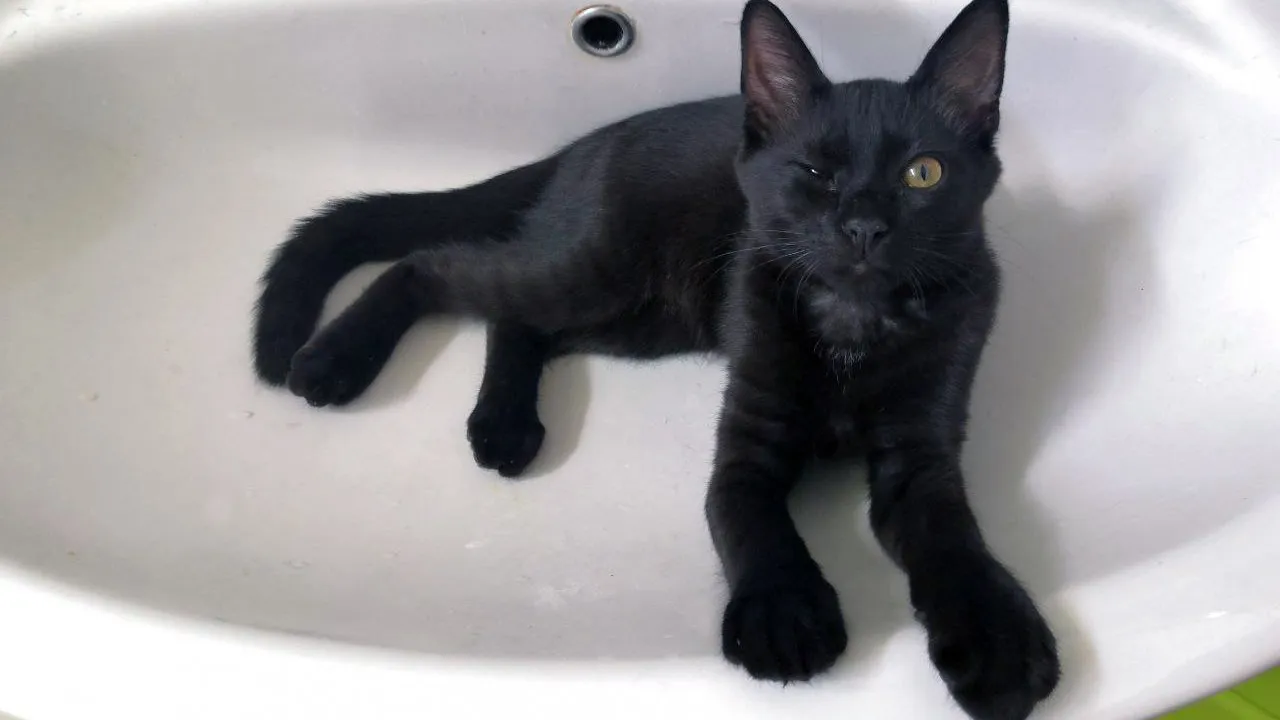 Фото: Максим Рассказчиков