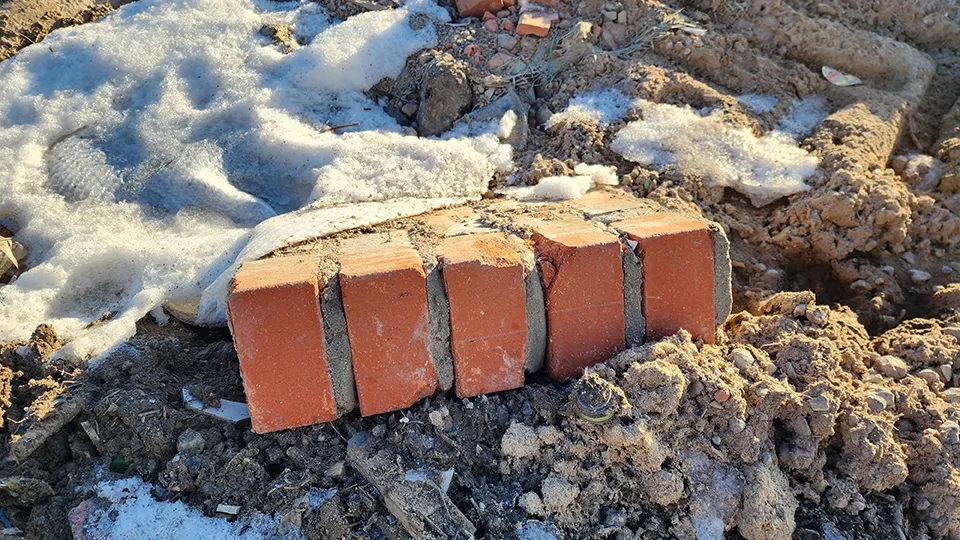 Фото: МедиаБанк Подмосковья/Максим Сафронов