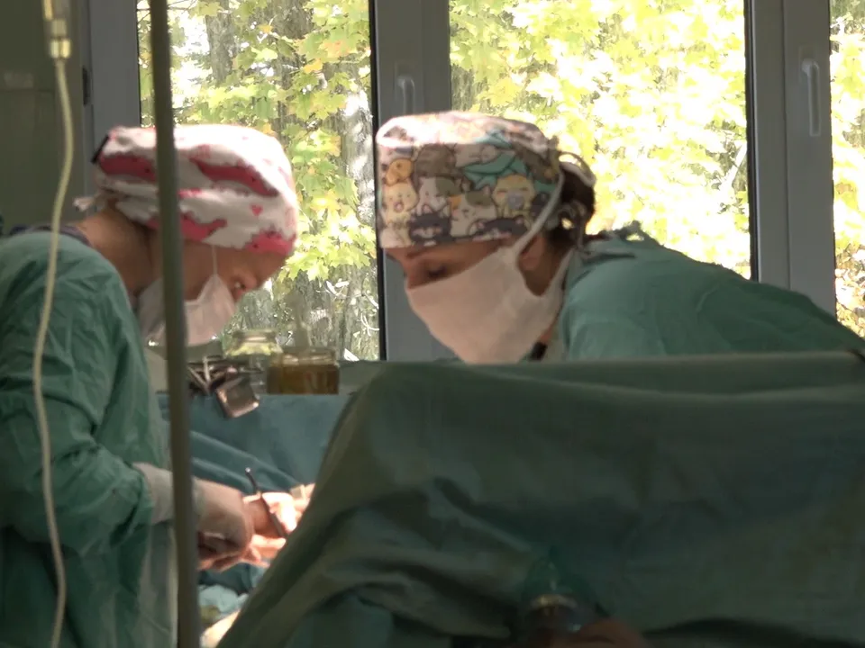 Фото: Regions.ru\Наталия Надточая