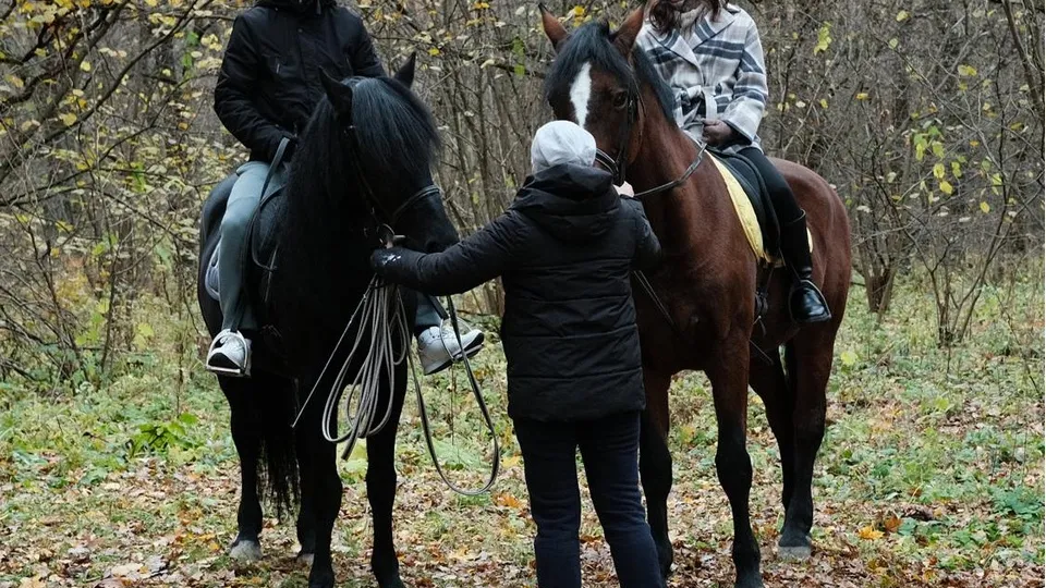 Фото: Министерство культуры и туризма Московской области