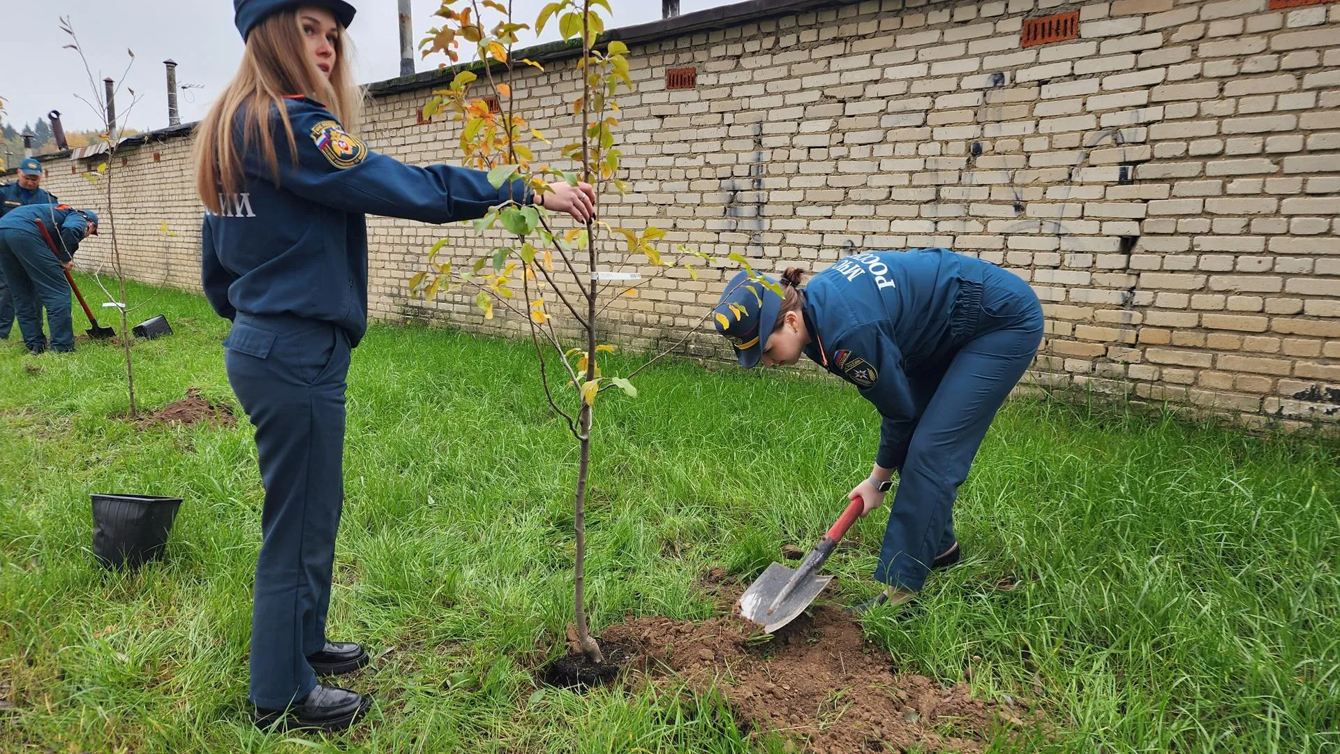 Фото: REGIONS/Наталья Дорошева