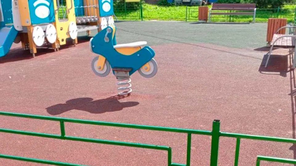 Фото: пресс-служба администрации г.о. Солнечногорск