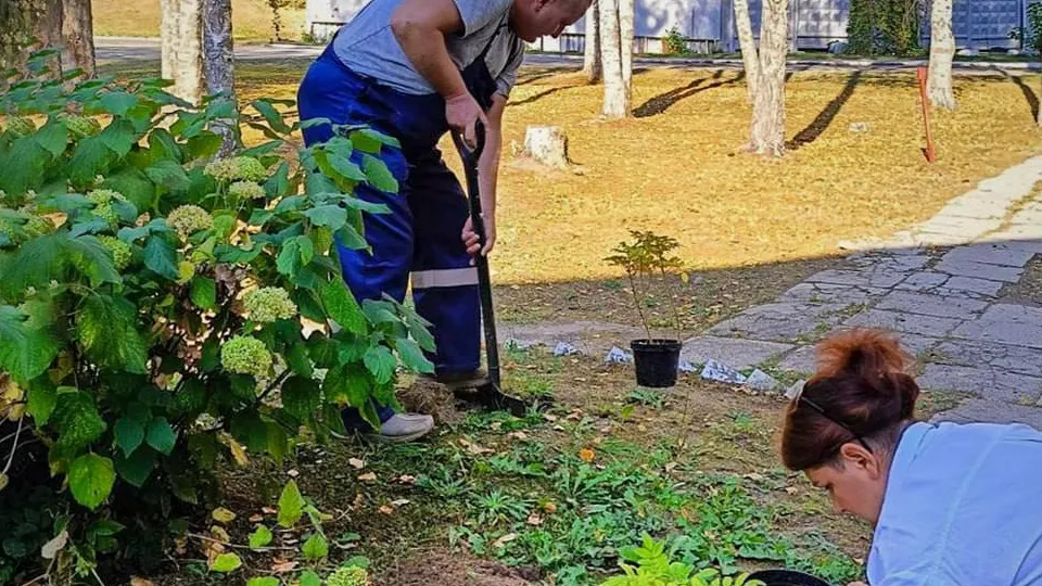 Фото: администрация г. о. Электросталь