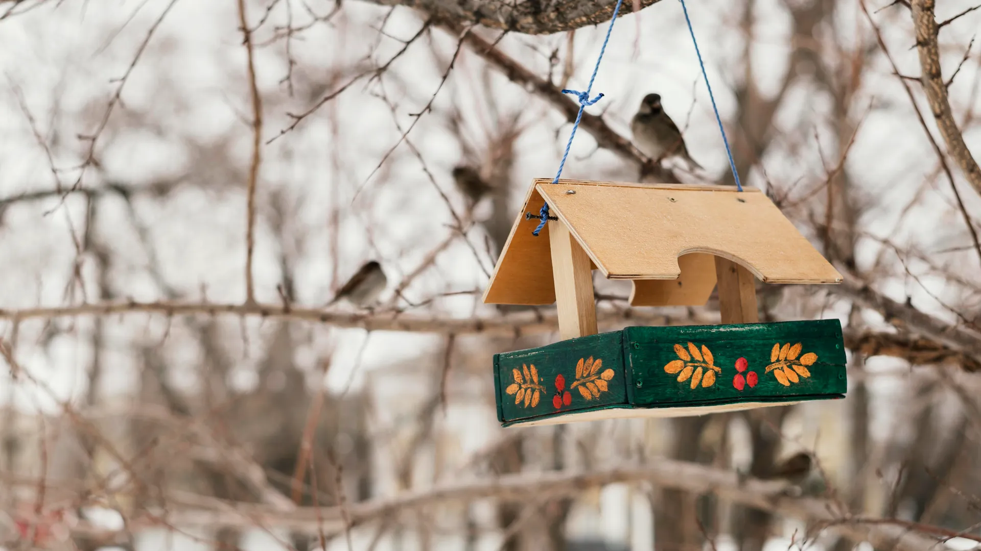 Фото взято с ru.freepik.com