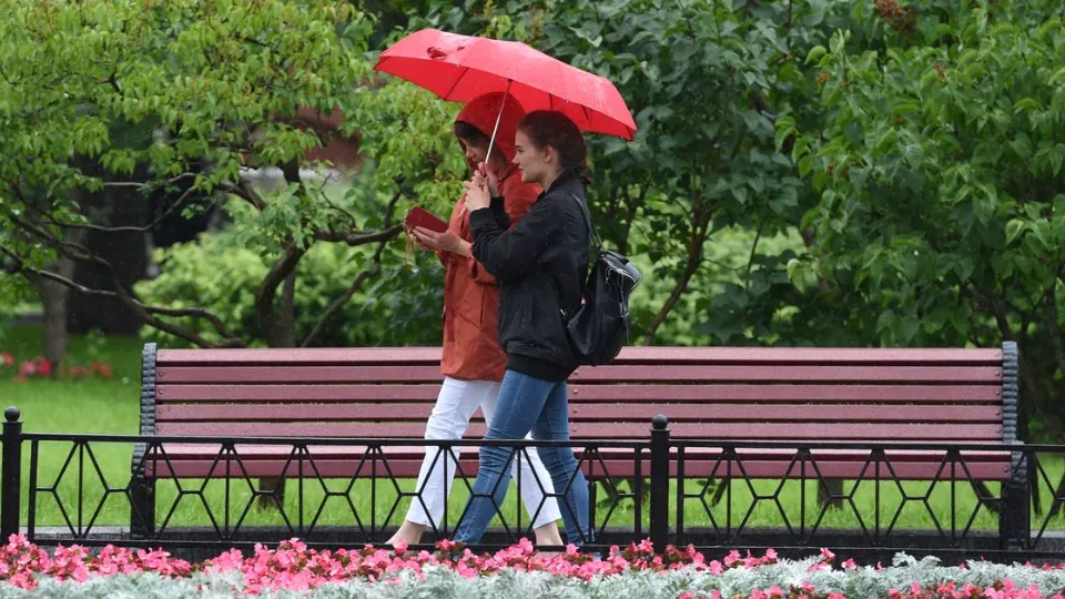 Фото: медиасток.рф