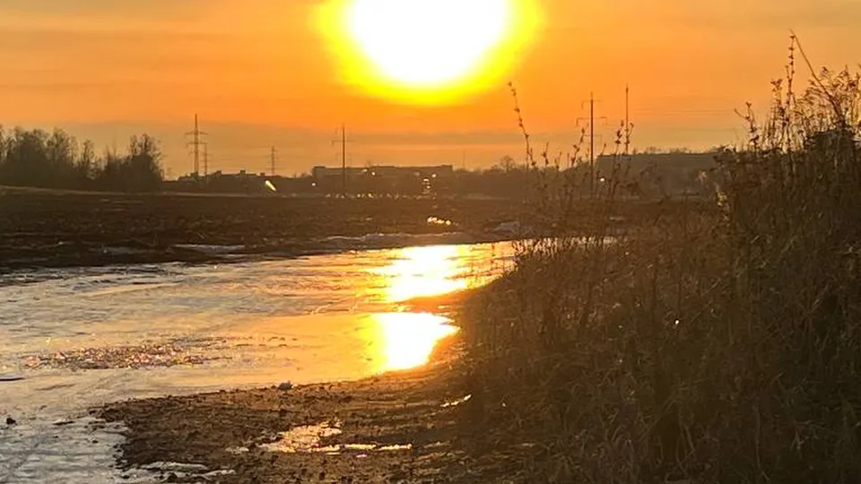 Фото: REGIONS/Елена Фурман