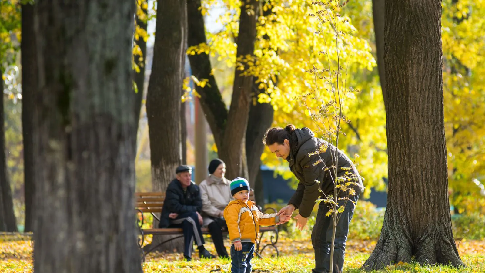 Фото: медиасток.рф