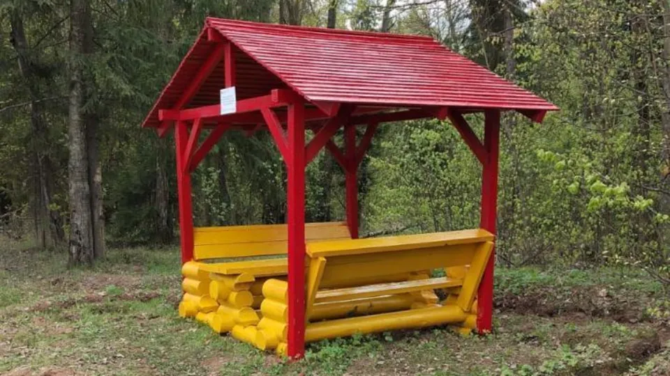 Фото: Комитет лесного хозяйства МО