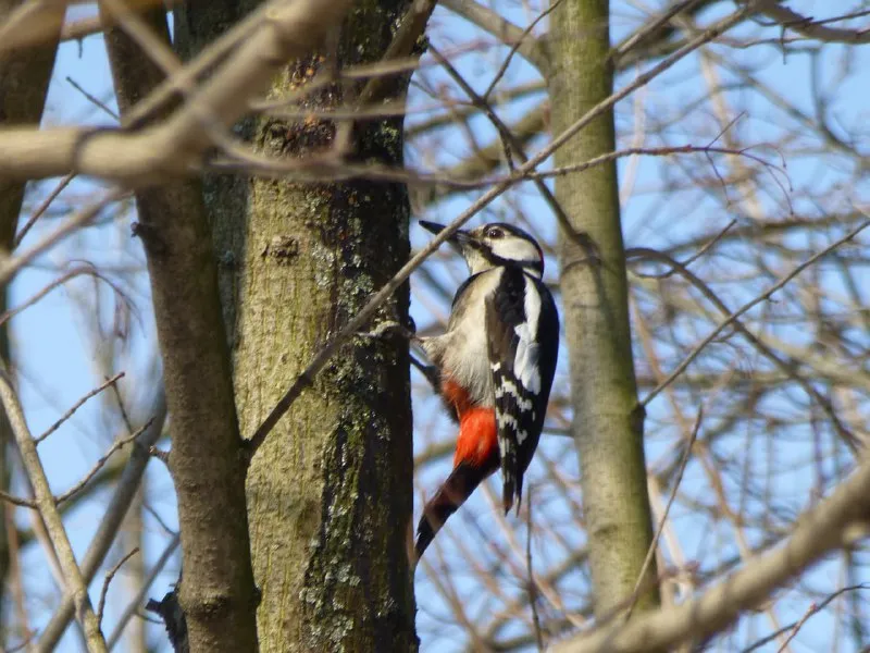 Фото: Иван Федулов