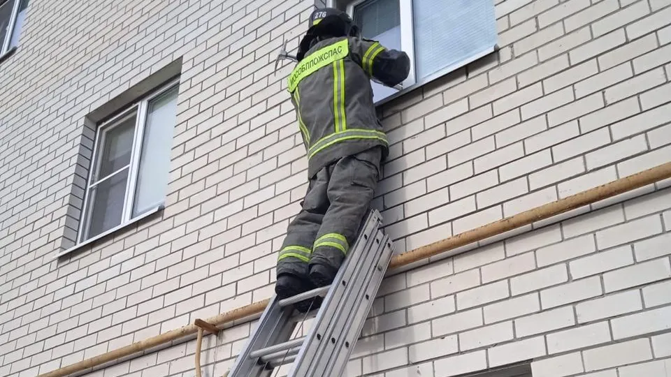 Фото: пресс-служба ГКУ МО «Мособлпожспас»