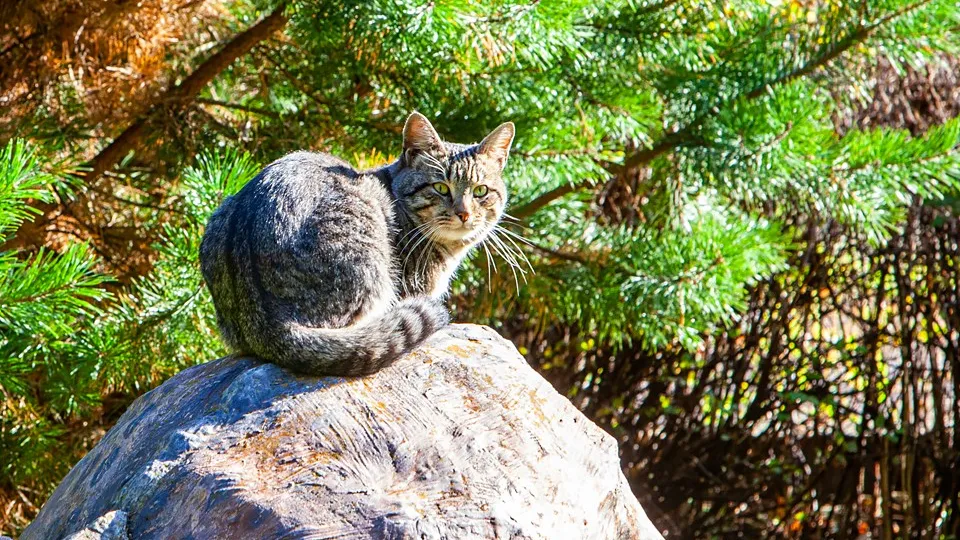 Фото: REGIONS/Роман Малышенко