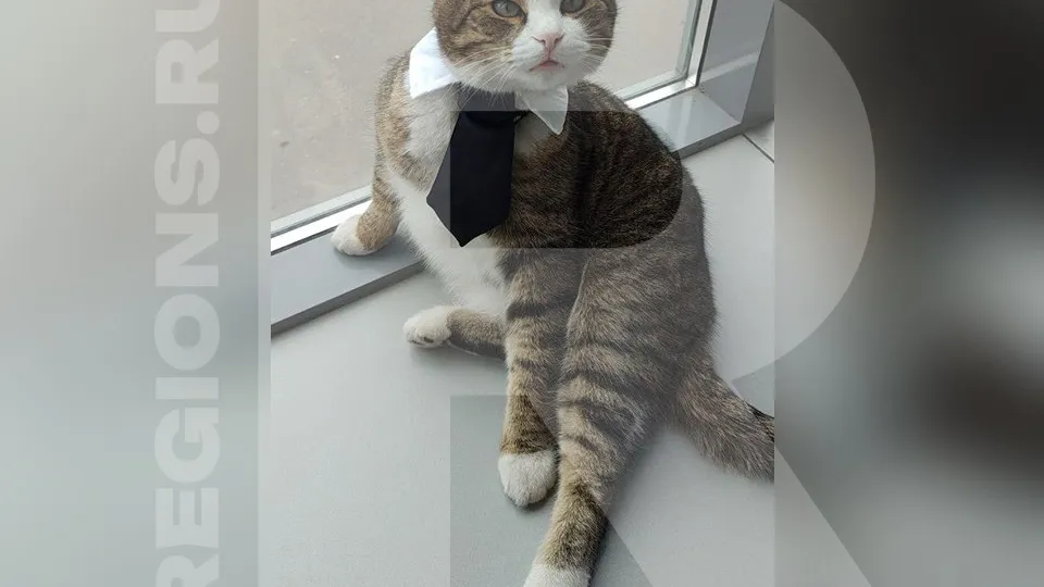 Фото: из архива Татьяны Шелби