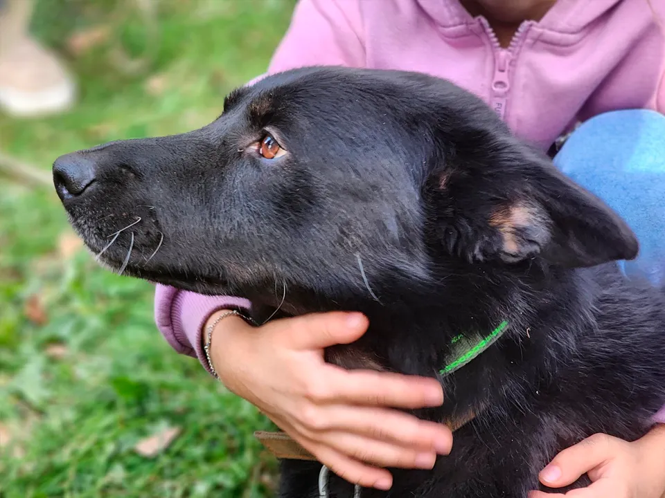 Фото: МедиаБанк Подмосковья/Роман Савельев