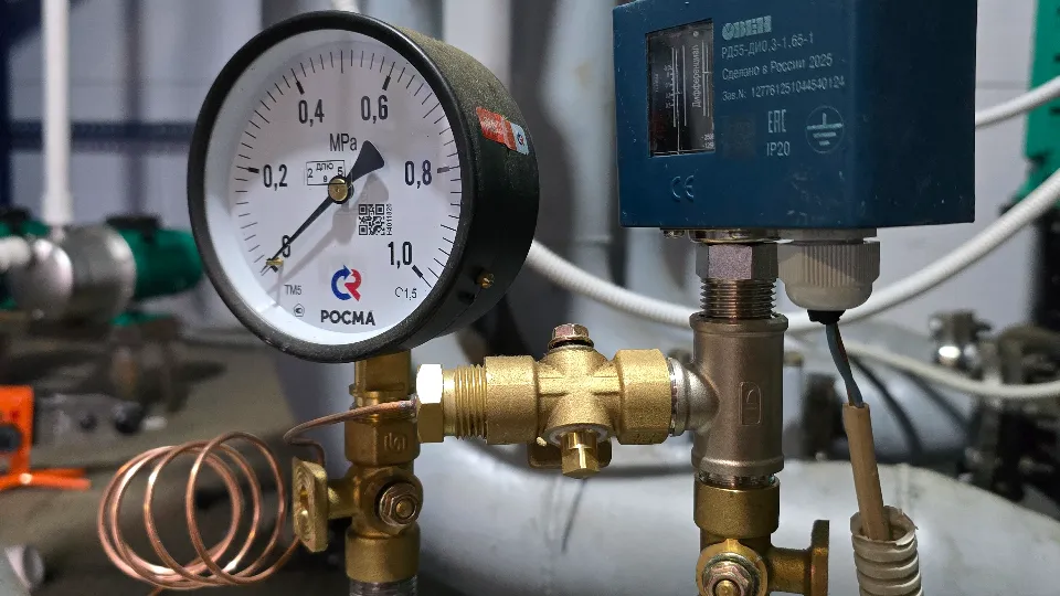 Фото: МедиаБанк Подмосковья/Марина Анисимова