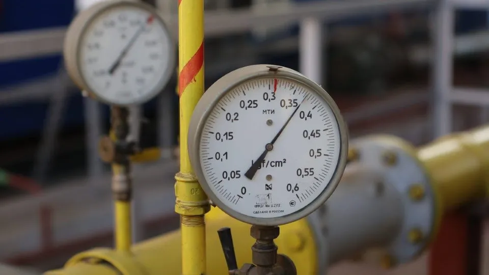 Фото: Администрация г.о. Чехов