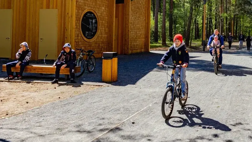 Фото: Министерство благоустройства Московской области