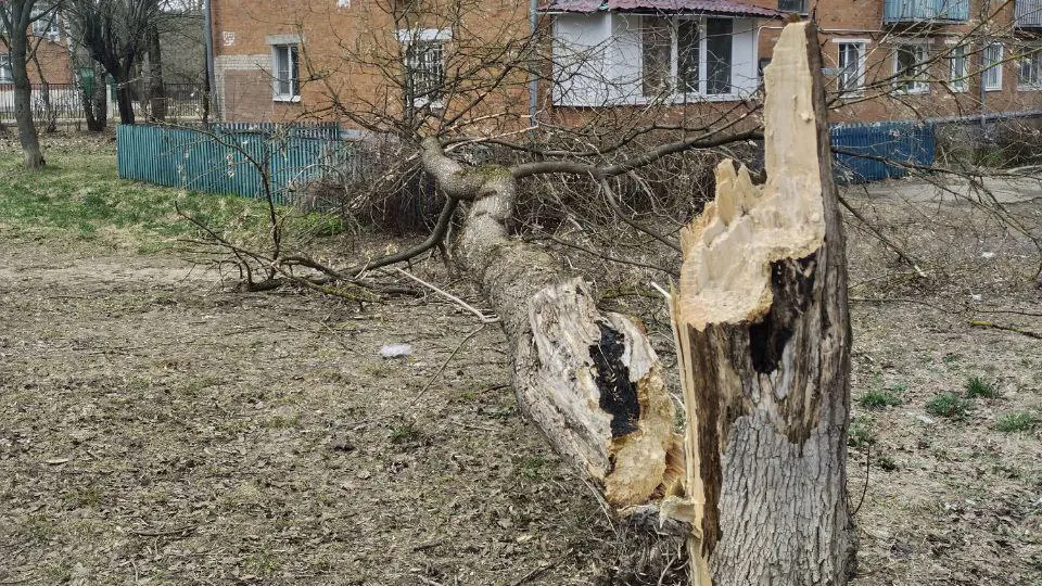 Фото: t.me/Подольск