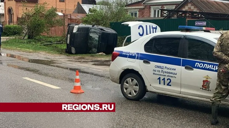 Фото: пресс-служба администрации городского округа Луховицы
