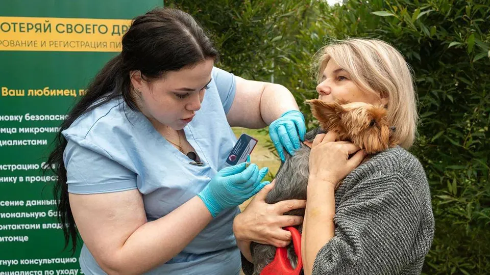 Фото: t.me/minselhozmo