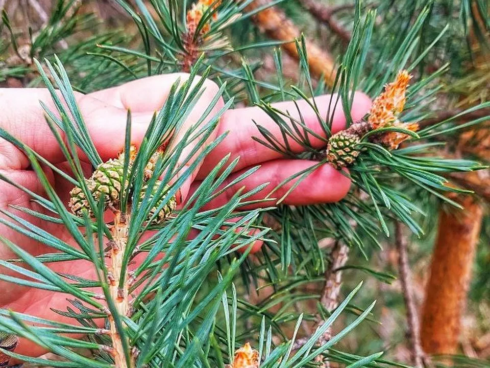 Фото: Василий Потапов&nbsp;