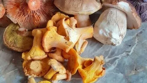 Фото: Людмила Горошко